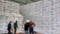 Harga Beras di Sigi Semakin Tinggi