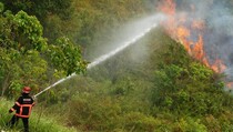 138 Titik Panas Terpantau di Riau