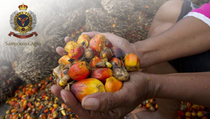 Sampoerna Agro Dukung Antisipasi Karhutla