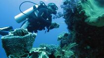 Polisi Tingkatkan Patroli di Perairan Raja Ampat