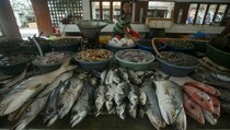  Cuaca Buruk, Harga Ikan di Tangerang Naik