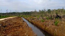 Pemerintah Perluas Pembuatan Kanal 