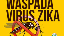 Hadapi Zika, Thailand Periksa Intensif Ibu Hamil