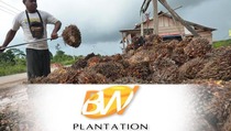 Rajawali Klaim Penjualan 37% Saham Eagle Plantation ke Felda Sesuai Aturan