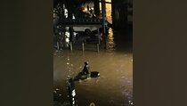 Hujan Deras, Sejumlah Jalan di Jakarta Tergenang