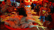 Program “Culling” Untungkan Japfa