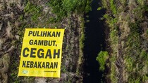 Badan Restorasi Gambut Harus Kerja Keras