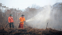 Kebakaran Hutan di Sulut Capai 18.435 Ha