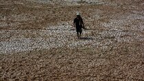 Upah Buruh Tani Turun 0,34% Jadi Rp 37.757
