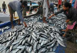 Nilai Ekspor Ikan Tuna di Bali Naik 19,71%