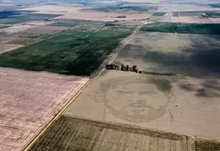 20 Petani Argentina Ciptakan Potret Messi di Ladang Jagung