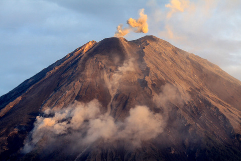 Abu Vulkanik Semeru Guyur 14 Kecamatan di Probolinggo dan Lumajang