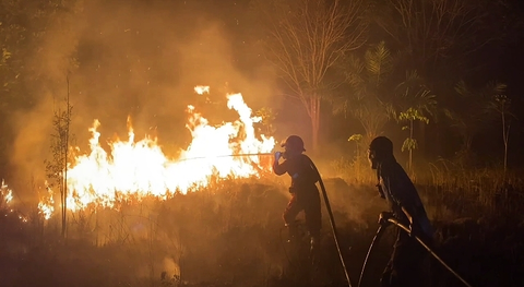 Petugas berupaya memadamkan kebakaran lahan di Palangka Raya, Kalimantan Tengah (Kalteng). 