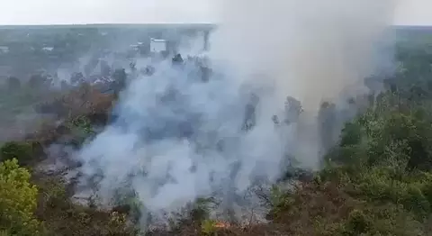 Kebakaran lahan di Kotawaringin, Kalimantan Tengah (Kalteng). 