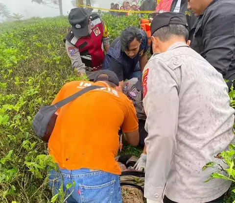 Mayat Perempuan di Perkebunan Teh Cianjur, Polisi Temukan Cairan Sperma