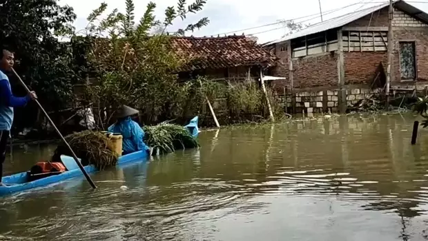 Warga Dukuh Bitheng, Desa Banjarsari, Gabus, Pati, Jateng menggunakan perahu dalam beraktivitas di tengah banjir, Rabu 1 Maret 2023.