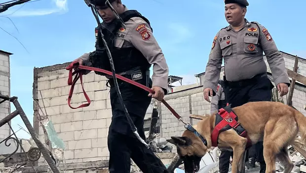 Unit K9 Ditsamapta Polda Metro Jaya menerjunkan 5 ekor anjing pelacak untuk membantu pencarian korban kebakaran Depo Pertamina Plumpang, Jakarta Utara, Sabtu, 4 Maret 2023.