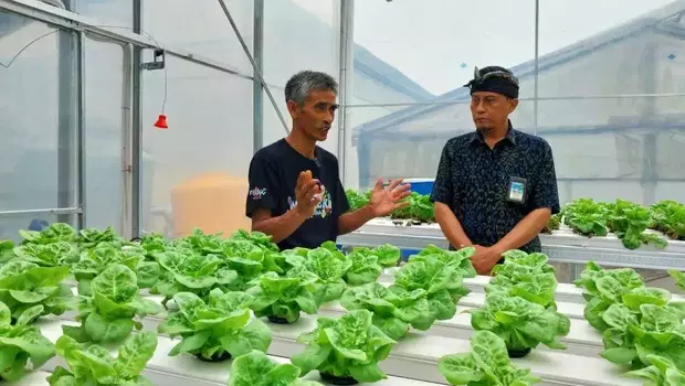 Program pertanian modern dengan teknologi screen house atau smart green house (SGH) berkonsep agro eduwisata dan mendorong digitalisasi pertanian yang bertujuan memantik petani milenial sekaligus meningkatkan produksi tani.