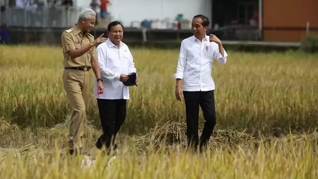 Presiden Jokowi (kanan) bersama Menhan Prabowo Subianto (tengah) dan Gubernur Jateng Ganjar Pranowo di lokasi panen raya padi di Desa Lajer, Kecamatan Ambal, Kabupaten Kebumen, Provinsi Jawa Tengah.