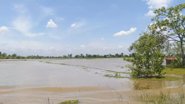 Banjir setinggi 2 meter yang melanda Kabupaten Paser, Kalimantan Timur, turut merendam sedikitnya 394 hektare lahan pertanian, Minggu 19 Maret 2023. Akibat banjir, ribuan petani terancam gagal panen.
