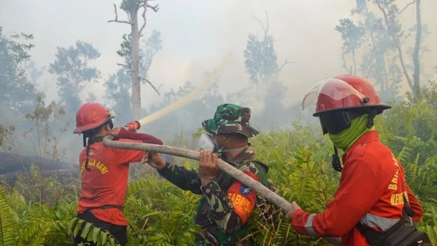 Kebakaran lahan terus meluas di Kabupaten Ketapan.