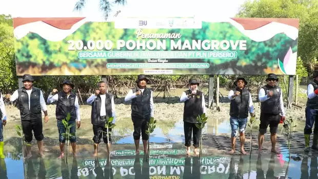 Gubernur Jawa Timur (Jatim) Khofifah Indar Parawansa turut serta menanam bibit mangrove di Ekowisata Mangrove Gunung Anyar Surabaya, Jumat 9 Juni 2023.