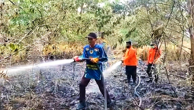 Kebakaran hutan dan lahan gambut yang dipenuhi tumbuhan semak belukar di pinggiran Kota Palangka Raya, Kalimantan Tengah, Sabtu 10 Juni 2023.