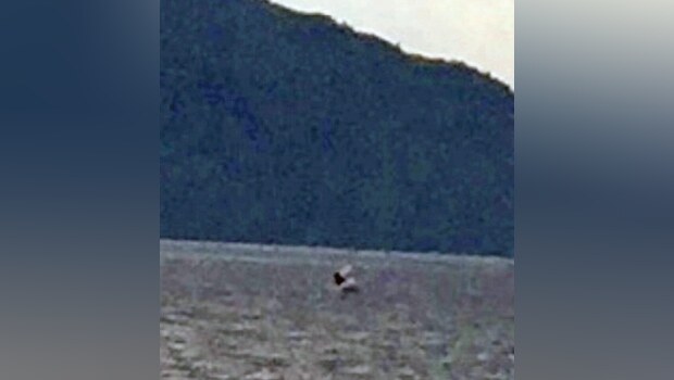 Gambar yang diambil wanita asal AS pada 1 Juli 2015 di danau Skotlandia lalu yang diklaim memperlihatkan monster Loch Ness