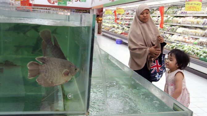 Anak kecil bersama kerabatnya melihat aneka ikan hidup di Hypermart Kemang Village, Jakarta. 
