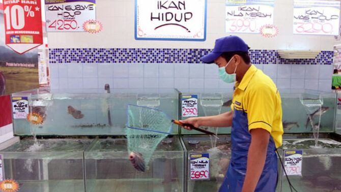 Petugas mengambil ikan hidup untuk segera dipotong di Hypermart Kemang Village, Jakarta. 