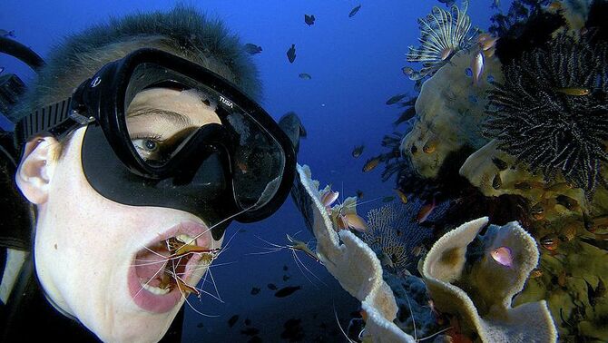 Beberapa ekor udang mulai membersihkan mulut penyelam saat membuka mulut menirukan ikan di dasar laut.