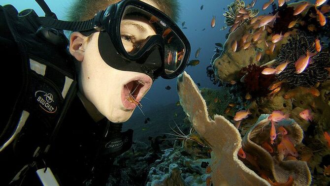 Beberapa ekor udang mulai membersihkan mulut penyelam saat membuka mulut menirukan ikan di dasar laut.