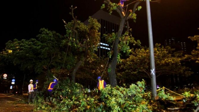 Sejumlah petugas menebang pohon untuk pembangunan megaproyek terowongan bawah tanah Mass Rapid Transit (MRT) di Jalan Sudirman, Kawasan Senayan, Jakarta, Senin (18/11) malam. SP/Joanito De Saojoao