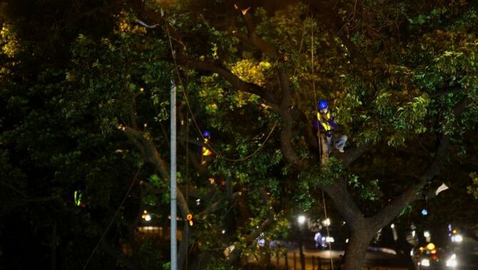 Pekerja menebang pohon untuk pembangunan megaproyek terowongan bawah tanah Mass Rapid Transit (MRT) di Jalan Sudirman, Kawasan Senayan, Jakarta, Senin (18/11) malam. SP/Joanito De Saojoao