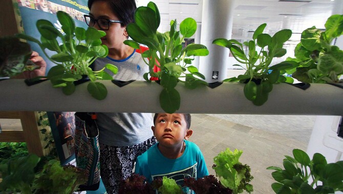 Sejumlah pengunjung meramaikan stand pada acara Weekend Organic Market di Lippo Mall Puri di Jakarta, Minggu (21/12).