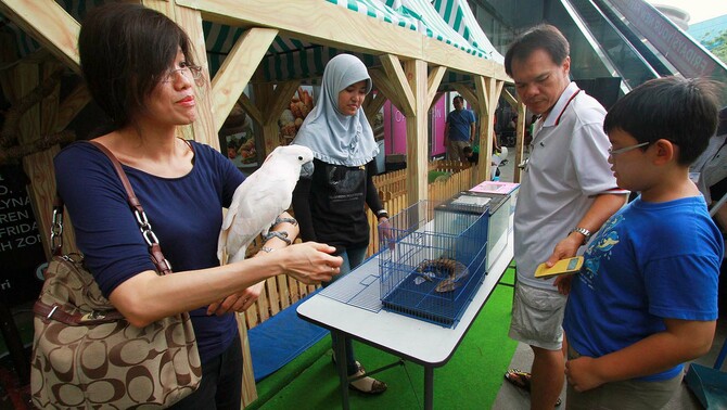 Sejumlah pengunjung meramaikan stand pada acara Weekend Organic Market di Lippo Mall Puri di Jakarta, Minggu (21/12).