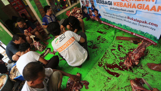 Penyembelihan dan distribusi daging kurban. BukaLapak.com bekerjasama dengan Global Qurban dan Aksi Cepat Tanggap (ACT) menyalurkan hewan kurban bagi warga masyarakat yang membutuhkan Dalam Idul Adha 1436 H ini BukaLapak.com berhasil menyalurkan hewan kurban berupa lebih dari 1500 kambing kurban subsidi ,8 sapi,1 unta dan 7 kambing gaza yang dibeli secara online di BukaLapak.com dari seluruh Indonesia. BeritaSatu Photo/str