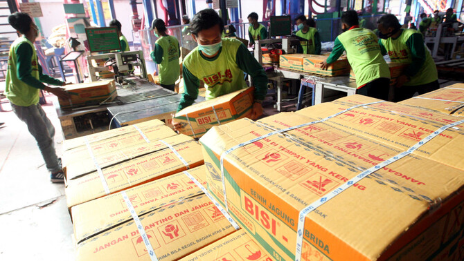 Pekerja beraktivitas di pabrik pengelolaan jagung di Kediri, Jawa Timur, belum lama ini. Ekspor benih jagung hibrida ke Srilanka dan juga Pakistan ditargetkan bisa terpenuhi total 500 ton senilai 1,5 juta dolar AS dan tahun depan diharapkan bisa meningkat menjadi 1.000 ton senilai 3 juta dolar AS.