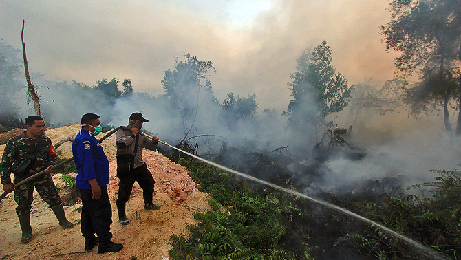  
Sejumlah petugas gabungan memadamkan api yang membakar hutan dan lahan di kecamatan Dumai Barat, Dumai, Riau, 12 Februari 2019. Menurut Badan Penanggulangan Bencana Daerah (BPBD) Provinsi Riau, kebakaran hutan dan lahan disejumlah wilayah di Riau seperti Dumai terus meluas akibat cuaca panas dan angin kencang.