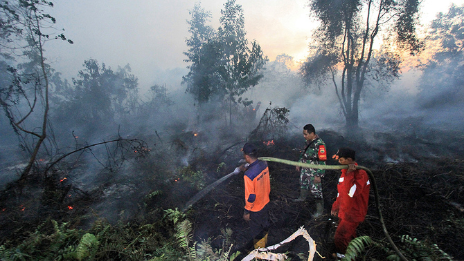 Sejumlah petugas gabungan memadamkan api yang membakar hutan dan lahan di kecamatan Dumai Barat, Dumai, 12 Februari 2019.
