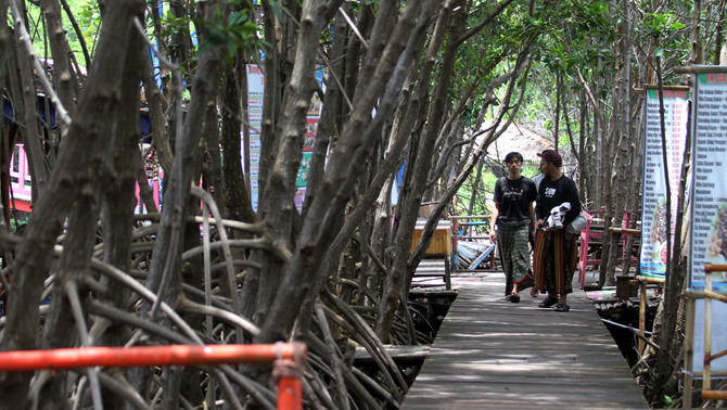 Pengembangan ekowisata Masyarakat Pelestarian Hutan Pesisir (KMPHP) Mangrove Sari dengan pendampingan dari Yayasan KEHATI di Desa Kaliwlingi, Brebes, Jawa Tengah.