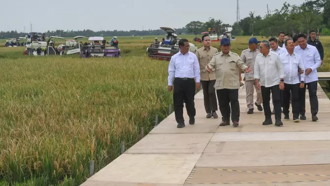 residen Prabowo Subianto (ketiga kiri) didampingi Menteri Koordinator Bidang Pangan Zulkifli Hasan (keempat kanan), Menteri Pertanian Amran Sulaiman (kiri), Wamentan Sudaryono (kanan), Menteri Kelautan dan Perikanan Sakti Wahyu Trenggono (kedua kanan), Mensesneg Prasetyo Hadi (keempat kiri), dan Seskab Teddy Indra Wijaya (ketiga kanan) meninjau sawah dalam acara panen raya dan pengumuman swasembada pangan nasional 2025 di Cilebar, Karawang, Jawa Barat, Rabu 7 Januari 2026.