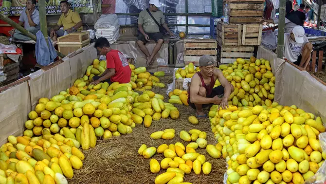 Pedagang memilah milah buah timun suri yang dijual di Pasar Induk Kramat Jati, Jakarta Timur, Selasa 10 Maret 2026.