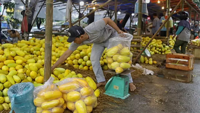Pedagang memilah milah buah timun suri yang dijual di Pasar Induk Kramat Jati, Jakarta Timur, Selasa 10 Maret 2026.