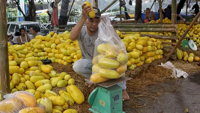 Pedagang memilah milah buah timun suri yang dijual di Pasar Induk Kramat Jati, Jakarta Timur, Selasa 10 Maret 2026.