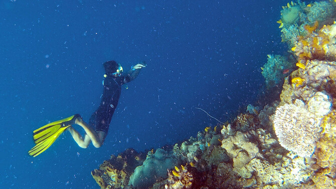 Wisatawan menikmati pemandangan bawah laut di Taman Nasional Laut Bunaken, Manado, Sulawesi Utara, 31 Maret 2016. FOTO: BeritaSatu Photo/Danung Arifin