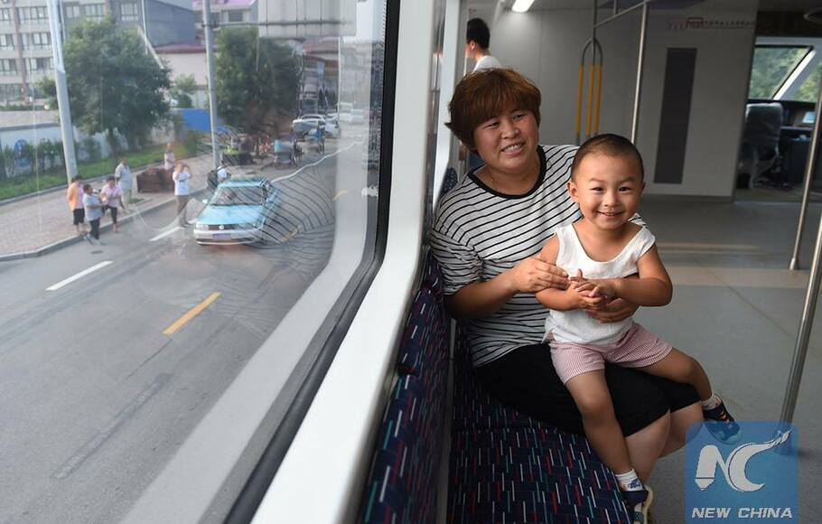 Transit elevated Bus