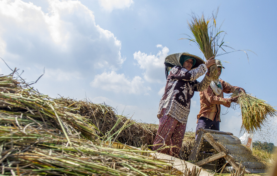 Program Makmur BUMN Dorong Anak Muda Jadi Petani