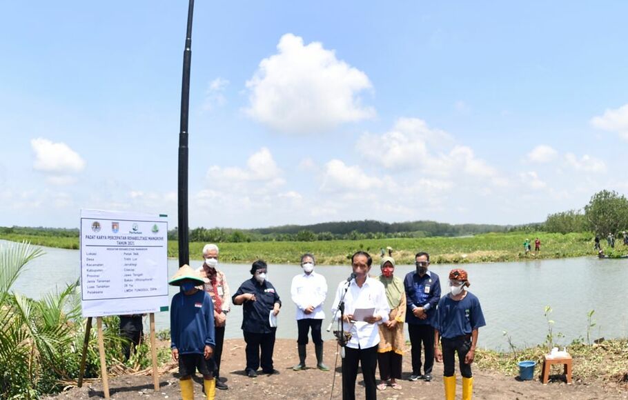 Presiden Jokowi Tanam Mangrove Untuk Pemulihan Lingkungan Dan Mitigasi ...