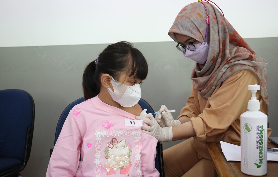 Dengue Hemorrhagic Fever (DHF) Vaccine: Safety, Efficacy, and Distribution in Indonesia